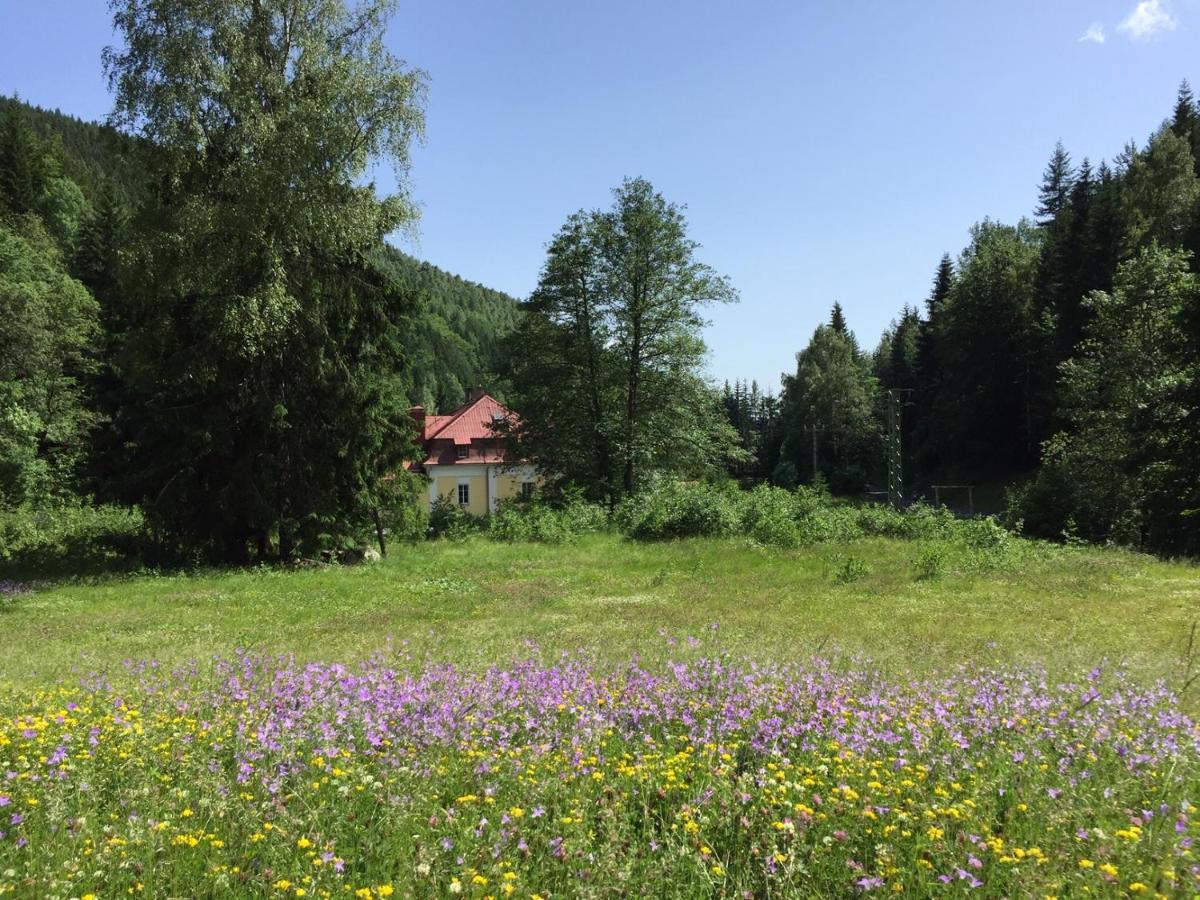 Horska Chata Pod Lanovkou Villa Jachymov Exterior photo